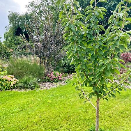 Ferienwohnung Kamrath Mit Wunderschoenem Ausblick Neuruppin Luaran gambar