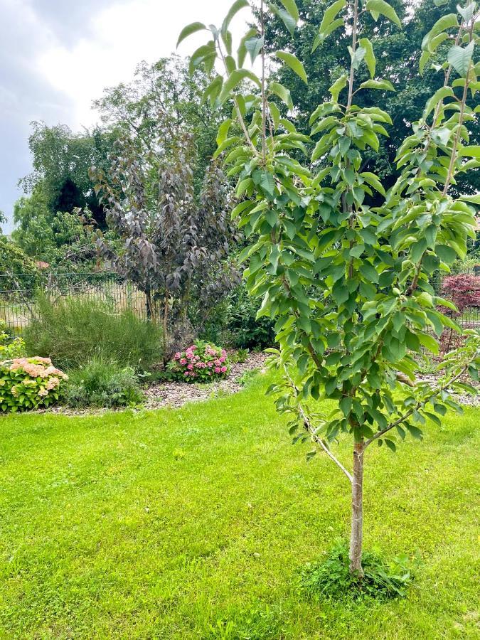 Ferienwohnung Kamrath Mit Wunderschoenem Ausblick Neuruppin Luaran gambar