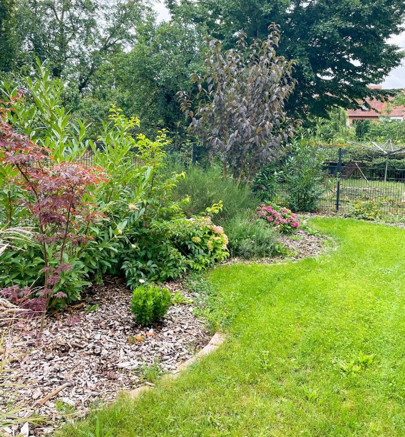 Ferienwohnung Kamrath Mit Wunderschoenem Ausblick Neuruppin Luaran gambar
